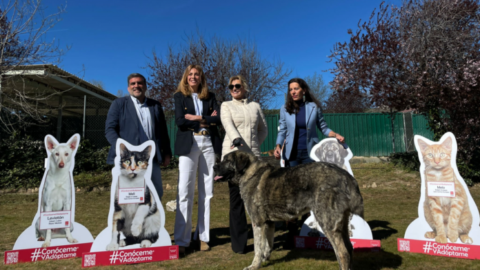 Imagen de cabecera #0 de la página de "La soprano Ainhoa Arteta se suma a la campaña Conóceme y Adóptame de la Comunidad de Madrid para el acogimiento de animales"