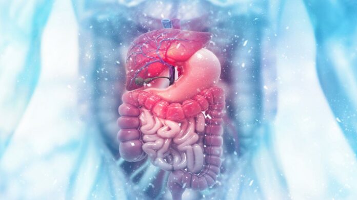 Imagen de cabecera #0 de la página de "El Hospital Universitario de Fuenlabrada incorpora un nuevo sistema de inteligencia artificial para la detección de pólipos digestivos"