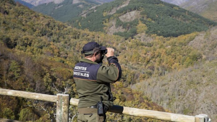 Un agente forestal de la Comunidad de Madrid de espaldas en una torre de vigilancia